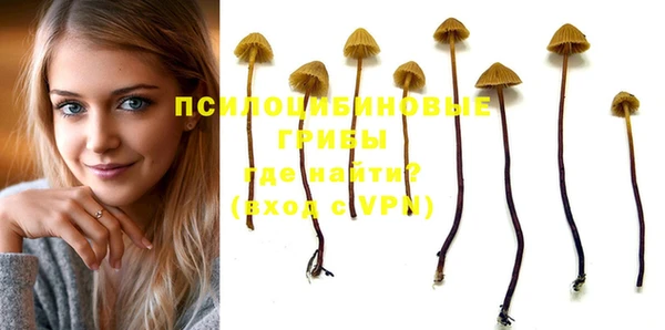 PSILOCYBIN Арсеньев