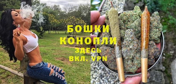 круглые Аркадак